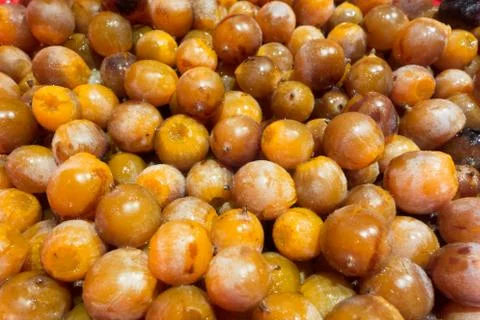 Wild Persimmon Stock Photos