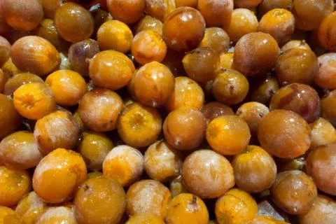 Wild Persimmon Stock Photos