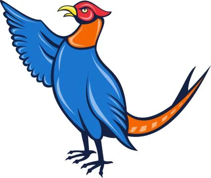 Wild pheasant mascot Stock Illustration