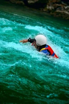 In the wild Stock Photos