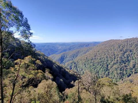 Into the wild Stock Photos