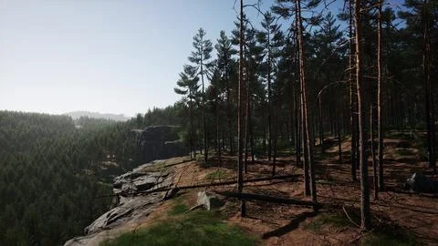 Wild pine trees at dawn during sunrise in a beautiful alpine forest Stock Illustration