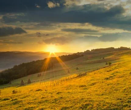 Wild plants and stack of hay at sunset Stock Photos