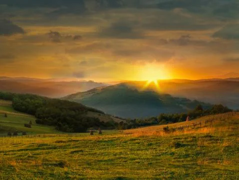 Wild plants and stack of hay at sunset Stock Photos