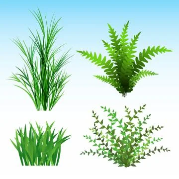 Wild Plants Illustrazione stock