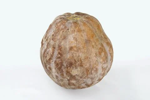 Wild pumpkin on white background. Stock Photos