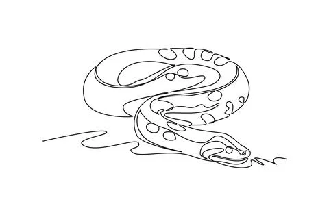 Wild python snake coiled closely on the jungle ground Stock Illustration