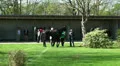 Wild Racehorse HD Footage