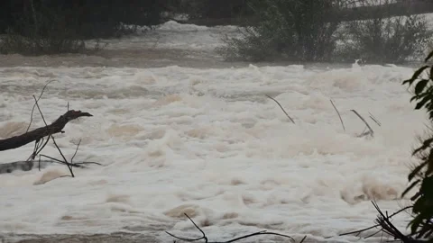 Wild raging river after heavy rain. Autumn season with heavy rainfall Stock Footage 139945217