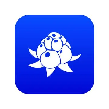 Wild raspberry icon blue vector Illustrazione stock