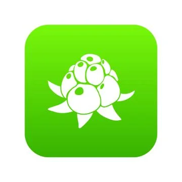 Wild raspberry icon green vector イラスト素材
