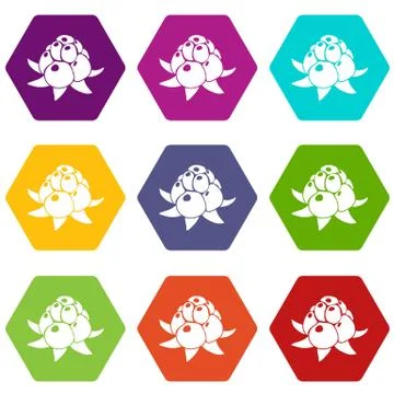 Wild raspberry icons set 9 Illustrazione stock