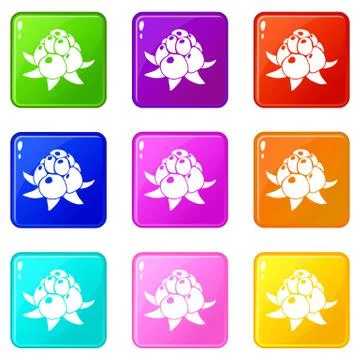 Wild raspberry icons set 9 color collection Stock Illustration