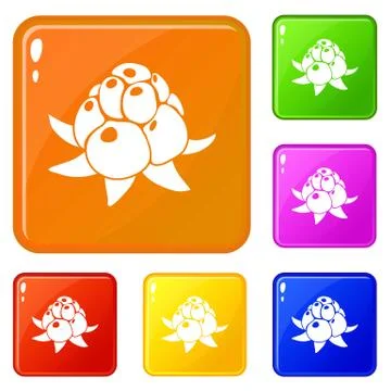 Wild raspberry icons set color Stock Illustration