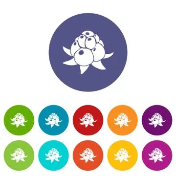 Wild raspberry icons set vector color Stock Illustration