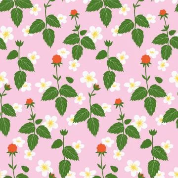 Wild raspberry seamless pattern Stock Illustration