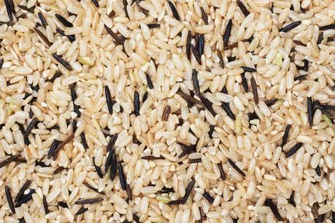 Wild raw rice close up. Texture raw grits. Background of food carbohydrates. 스톡 사진