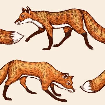 Wild red fox. Seamless pattern. Forest ginger animal Background. Vector Engraved Stock Illustration