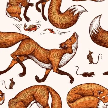 Wild red fox. Seamless pattern. Forest ginger animal Background. Vector Engraved Illustrazione stock