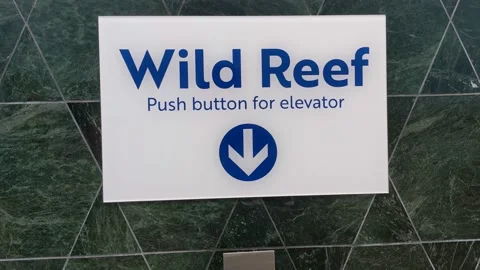 Wild Reef Push Button for Elevator Signage Stock Footage 163860849