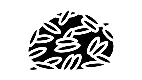 Wild rice glyph icon animation Stock Footage 224924754