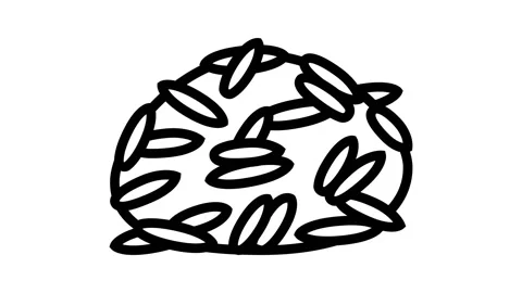 Wild rice line icon animation Stock Footage 224955406