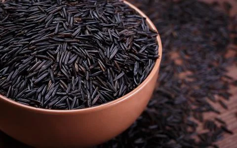 Wild rice Foto stock