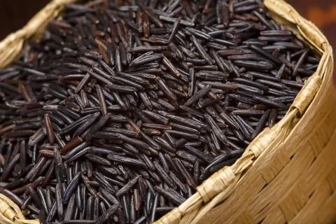 Wild rice Stock Photos