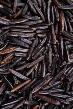 Wild rice Stock Photos