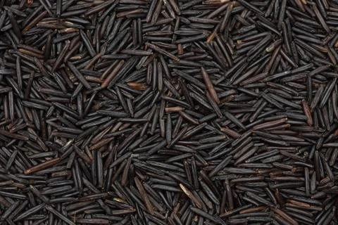 Wild Rice Stock Photos
