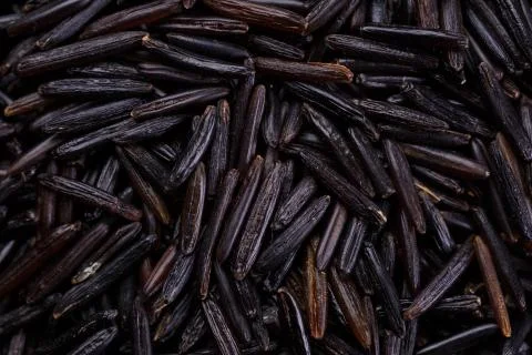 Wild rice Stock Photos