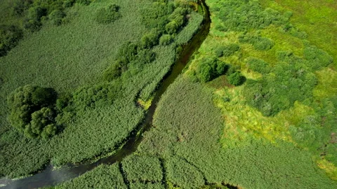 Wild River, aerial view. Zigzag river in forest. Natural Resource and Ecosystem. Stock-Footage 213267982
