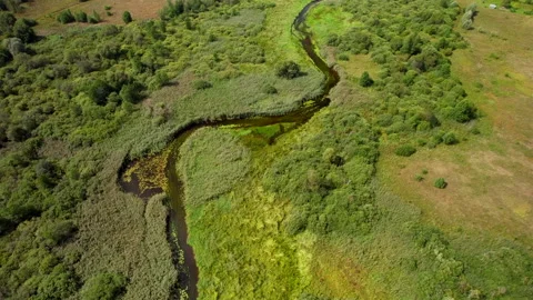 Wild River, aerial view. Zigzag river in forest. Natural Resource and Ecosystem. Vidéo 213270679