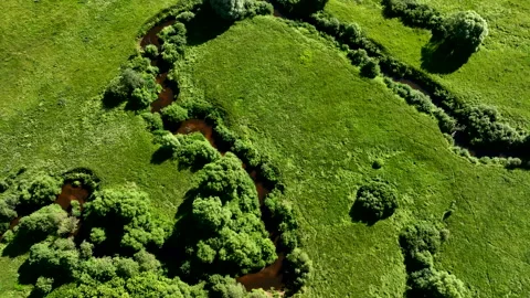 Wild River, aerial view. Zigzag river in forest. Natural Resource and Ecosystem. Stock Footage 218389552