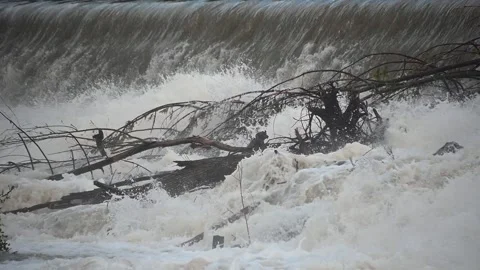 Wild river after heavy rain flows on cascades Stock Footage 139945056