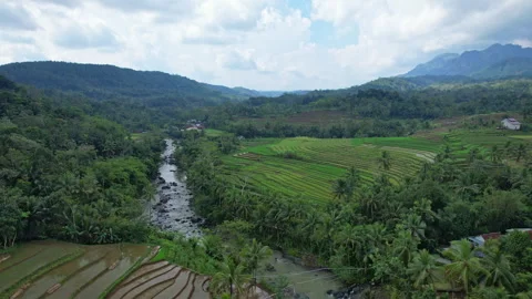 Wild river and rice field in Wadaslintang area, Wonosobo regency, Java 库存影片 338287255