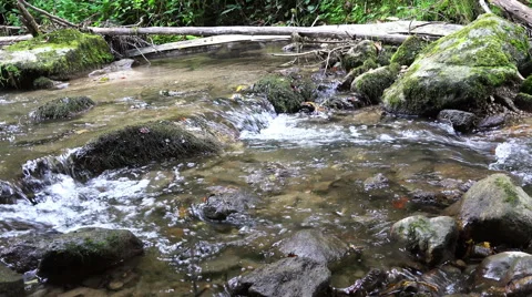 Wild river with audio 4K Stock Footage 42435136