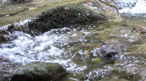 Wild river with audio Stock Footage 42434655