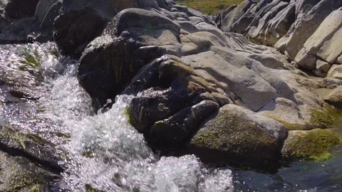 Wild river between the stones forms a beautiful natural falling waterfall Stock Footage 115444728