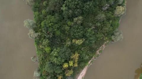 Wild river Bug in Eastern Poland, island, forest, banks, sand shallow waters, Stock Footage 254807220