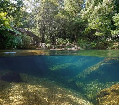 Wild river with clear water split level view over and underwater Foto stock