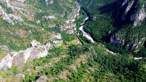 Wild River Cutting Through Green Cliffs in Majestic Canyon Stock Footage 316616122