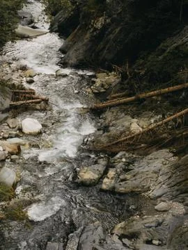 Wild River with fallen Trees on the side Stock-Fotos