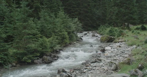 A wild river flowing in the Austrian Alps Video stock 228957010