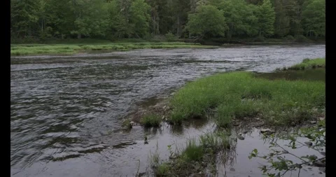 Wild River Flowing Eastern Canada Late Spring Stock Footage 337139655