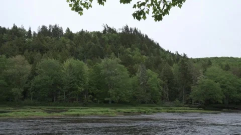 Wild River Flowing Eastern North America Stock Footage 337139649