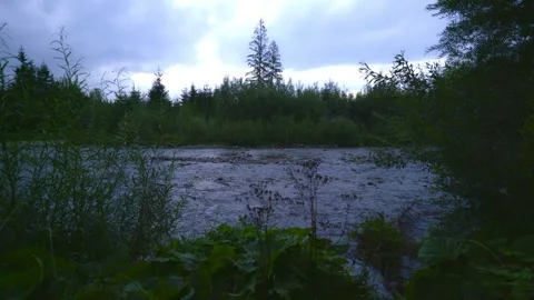 Wild River Flowing Through Forest Landscape Video stock 330065567