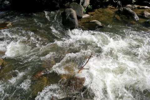 Wild river flowing through the rocks Stock Photos