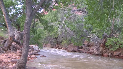 Wild River Video stock 4682282