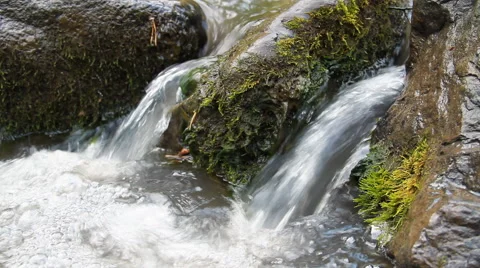 Wild  River. Stock Footage 40337211